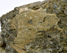Minerál KATAPLEIIT