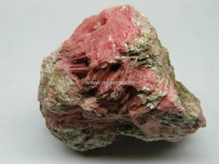 RODONIT