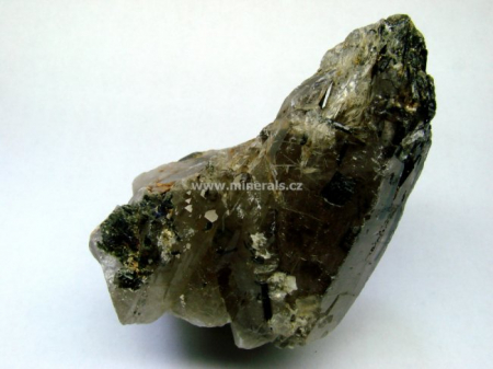 EUDIDYMIT