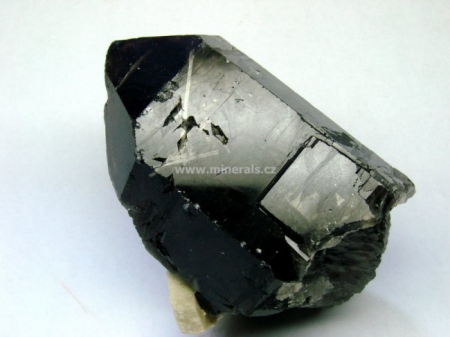 EUDIDYMIT