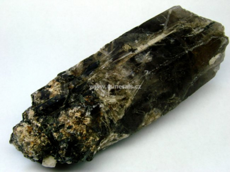 EUDIDYMIT