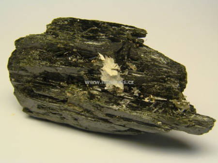 EPIDYDIMIT