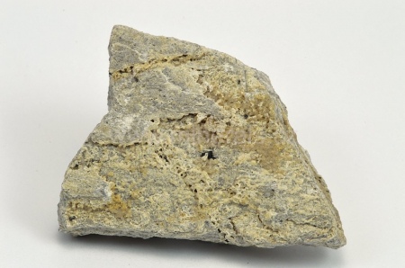 PSEUDOBROOKIT