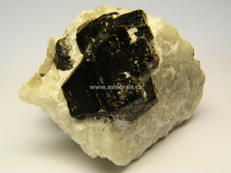 TETRAFERRIFLOGOPIT