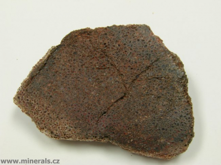 DINOSAUŘÍ KOST