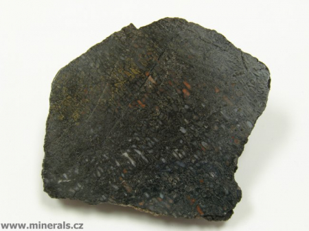 DINOSAUŘÍ KOST