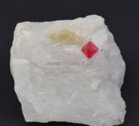 SPINEL