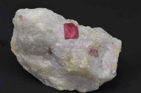 SPINEL