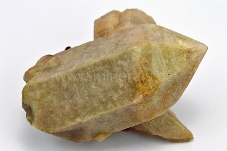 Obrázek KŘEMEN, ZÁHNĚDA