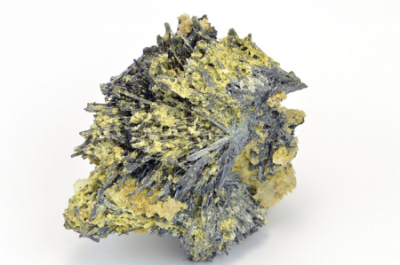 ANTIMONIT