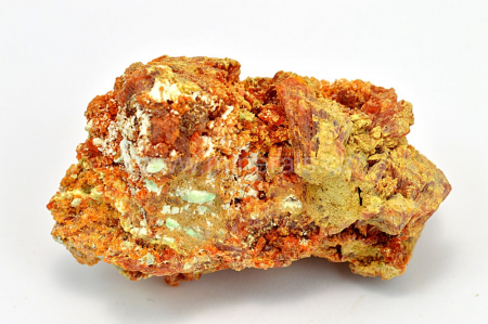 BOTRYOGEN