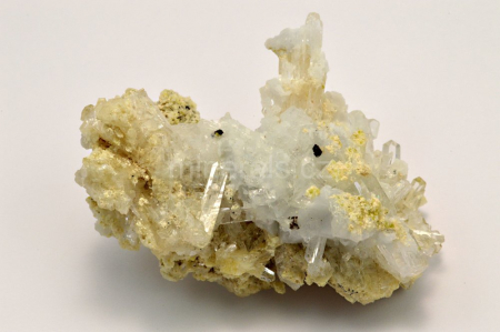 NIFONTOVIT