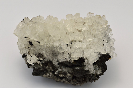 SALMIAK