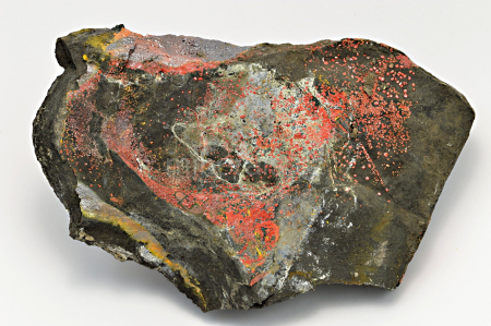 REALGAR