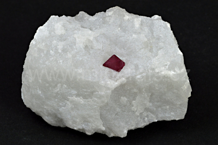 Obrázek SPINEL