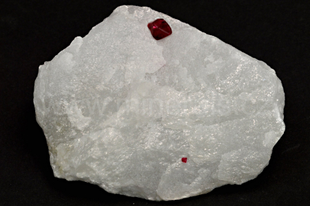 Obrázek SPINEL