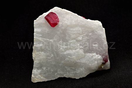 SPINEL