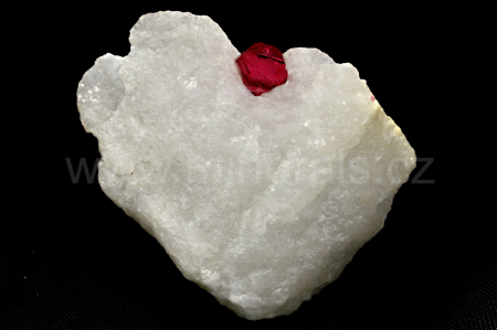 SPINEL