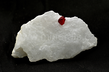 SPINEL
