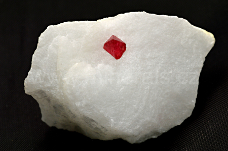 SPINEL