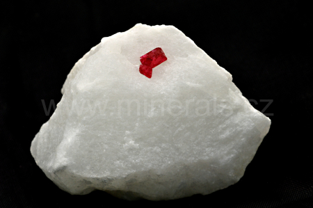 SPINEL