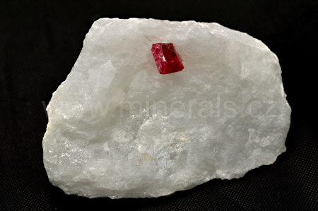 SPINEL