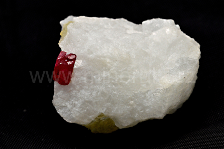 SPINEL