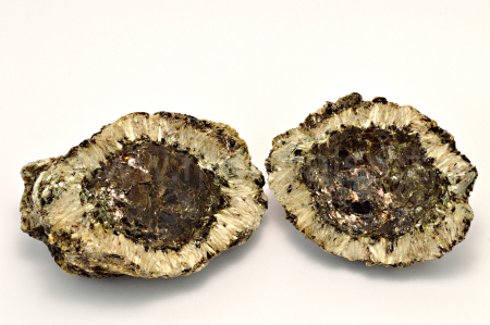 Obrázek HEŘMANOVSKÁ KOULE