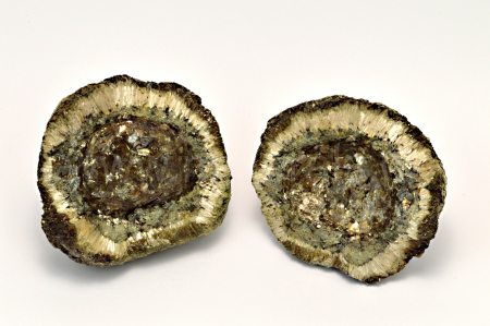 Obrázek HEŘMANOVSKÁ KOULE