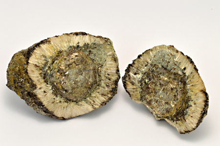 Obrázek HEŘMANOVSKÁ KOULE