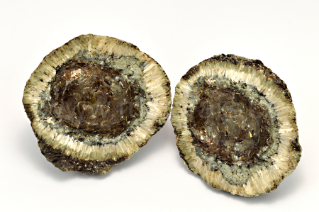 Obrázek HEŘMANOVSKÁ KOULE