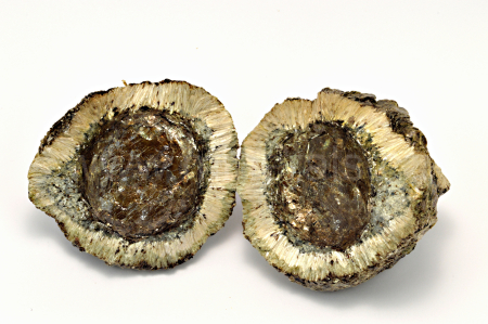 Obrázek HEŘMANOVSKÁ KOULE