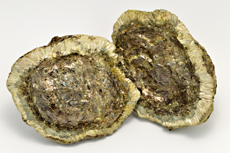 Obrázek HEŘMANOVSKÁ KOULE