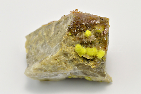 Obrázek CARLHINTZEIT