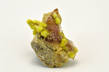 Obrázek CARLHINTZEIT