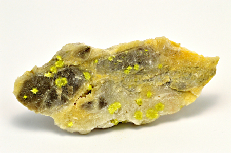 Obrázek CARLHINTZEIT