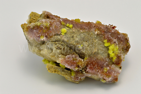 Obrázek CARLHINTZEIT