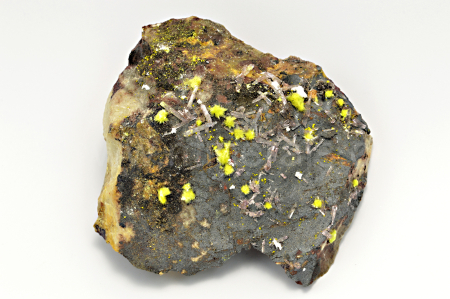 Obrázek CARLHINTZEIT