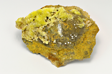 Obrázek CARLHINTZEIT