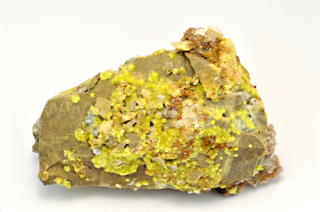 Obrázek CARLHINTZEIT