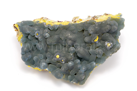 Obrázek PLUMBOGUMMIT