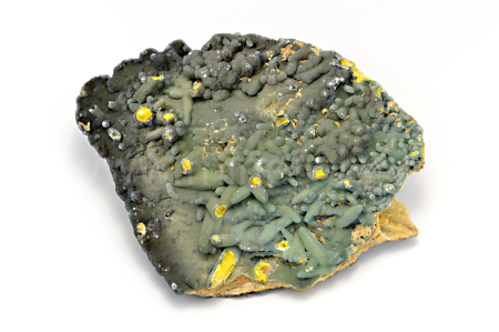 Obrázek PLUMBOGUMMIT