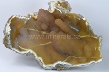 FOSILNÍ KORÁL, CHALCEDON