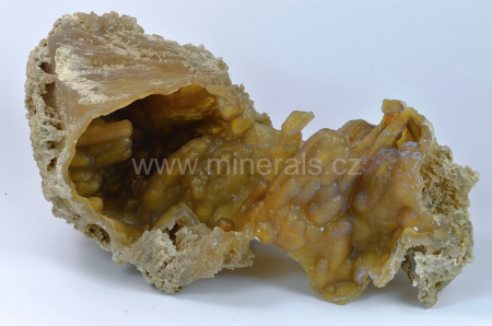 FOSILNÍ KORÁL, CHALCEDON