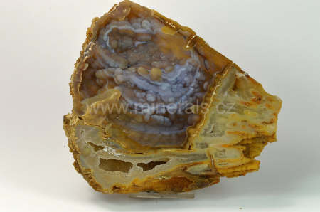 FOSILNÍ KORÁL, CHALCEDON