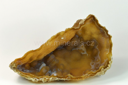 FOSILNÍ KORÁL, CHALCEDON