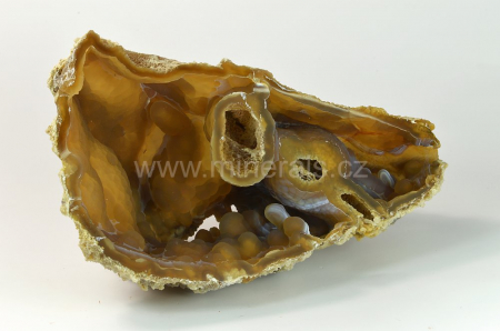 FOSILNÍ KORÁL, CHALCEDON