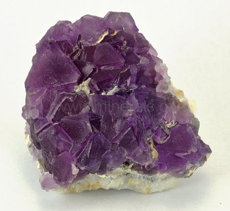 FLUORIT
