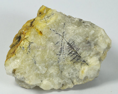QUIROGUIT
