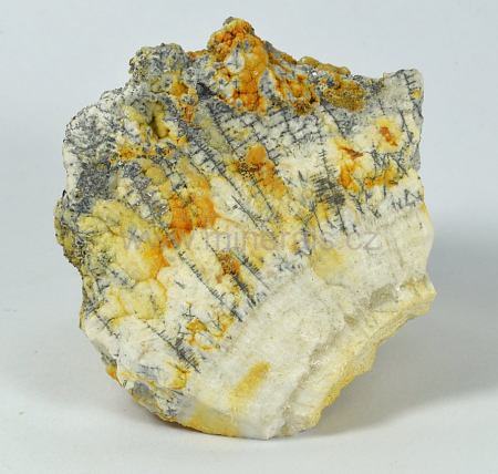 QUIROGUIT